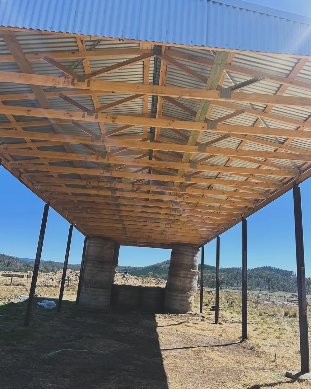 Underside of a metal roof supported by timber framing and posts